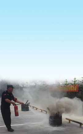 安全防范咨詢服務